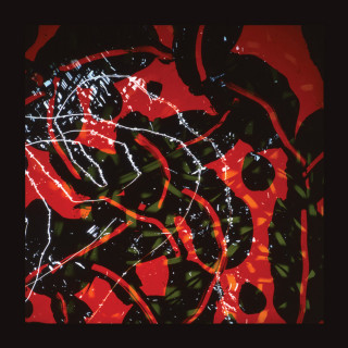 Brian Eno - Nerve Net album cover