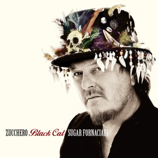 Zucchero - Black Cat album cover