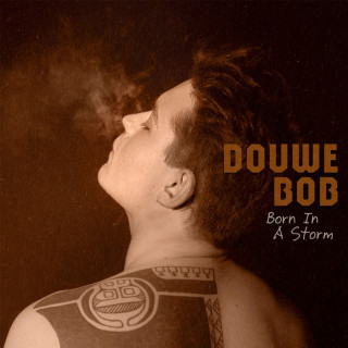 Douwe Bob - Born In A Storm album cover