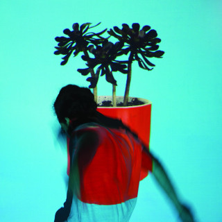 Local Natives - Sunlit Youth album cover