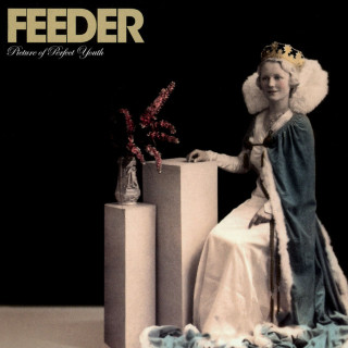 Feeder - Picture Of Perfect Youth compilation cover