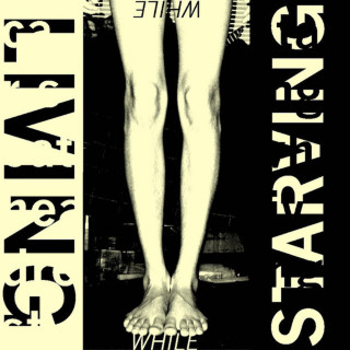 Car Seat Headrest - Living While Starving EP cover
