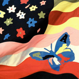 The Avalanches - Wildflower album cover