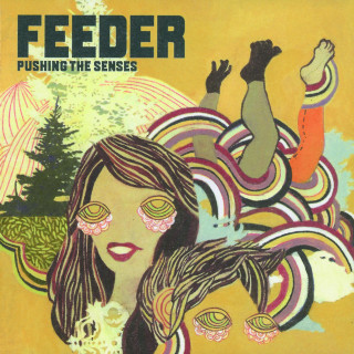 Feeder - Pushing The Senses album cover
