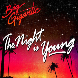 Big Gigantic - The Night Is Young album cover