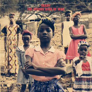 Imany - The Wrong Kind Of War album cover