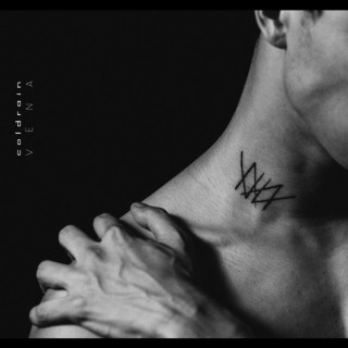 coldrain - VENA album cover