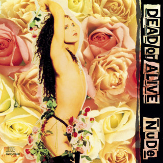 Dead Or Alive - Nude album cover