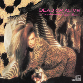 Dead Or Alive - Sophisticated Boom Boom album cover
