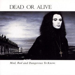 Dead Or Alive - Mad, Bad, And Dangerous To Know album cover