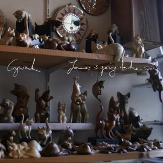 Crywank - James Is Going To Die Soon album cover