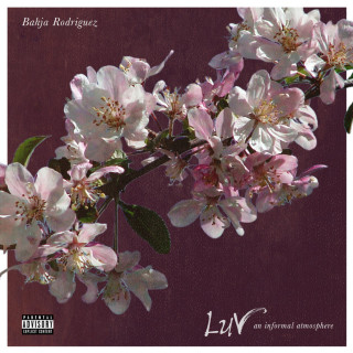 Bahja Rodriguez - Luv EP cover