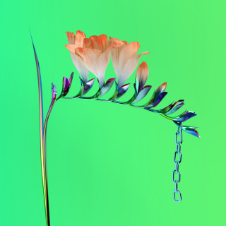 Flume - Skin Companion EP I EP cover
