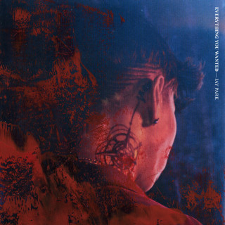 Jay Park - Everything You Wanted album cover