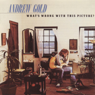Andrew Gold - What's Wrong With This Picture? album cover
