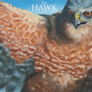 Shawn James - The Hawk EP cover