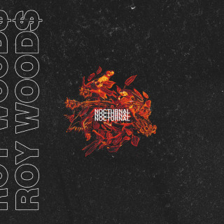 Roy Woods - Nocturnal album cover