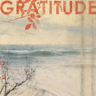 Gratitude - Gratitude album cover