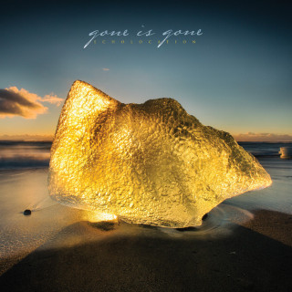 Gone Is Gone - Echolocation album cover