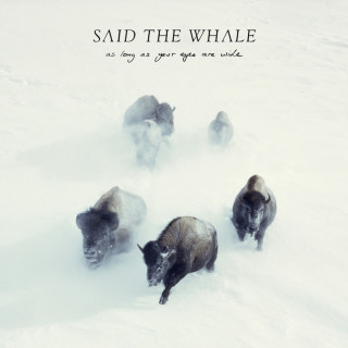 Said The Whale - As Long As Your Eyes Are Wide album cover