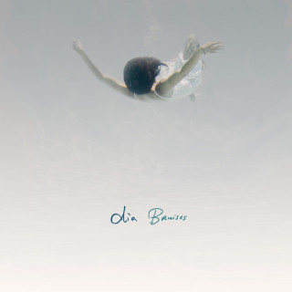 Dia Frampton - Bruises album cover