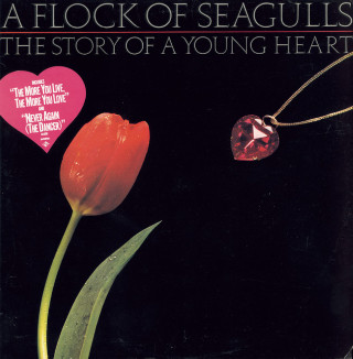 A Flock Of Seagulls - The Story Of A Young Heart album cover