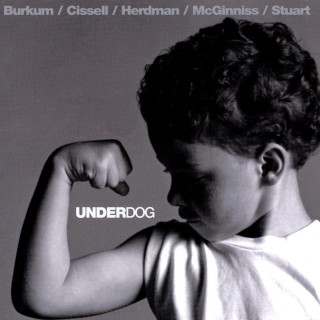 Audio Adrenaline - Underdog album cover