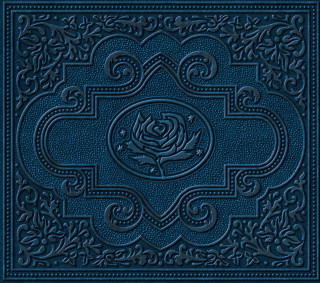 Ryan Adams - Cold Roses album cover