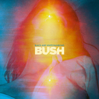Bush - Black And White Rainbows album cover