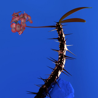 Flume - Skin Companion EP II EP cover
