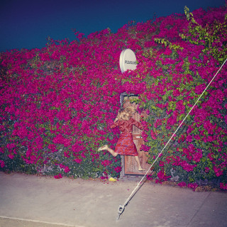 Feist - Pleasure album cover
