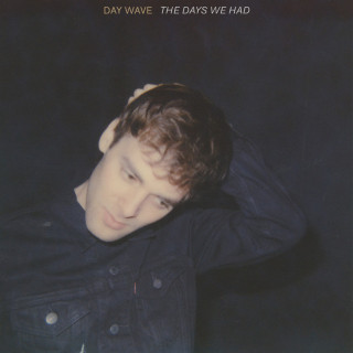 Day Wave - The Days We Had album cover