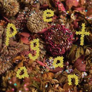PWR BTTM - Pageant album cover