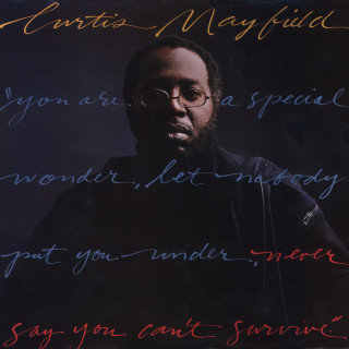 Curtis Mayfield - Never Say You Can't Survive album cover