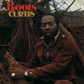 Curtis Mayfield - Roots album cover