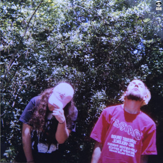 $uicideboy$ - High Tide In The Snake's Nest mixtape cover