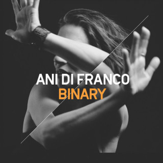 Ani DiFranco - Binary album cover