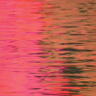 Silverstein - Dead Reflection album cover