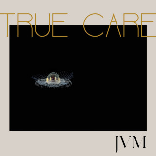 James Vincent McMorrow - True Care album cover
