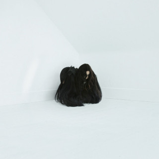 Chelsea Wolfe - Hiss Spun album cover