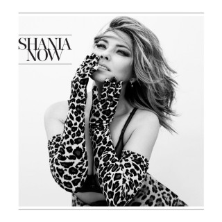 Shania Twain - Now album cover