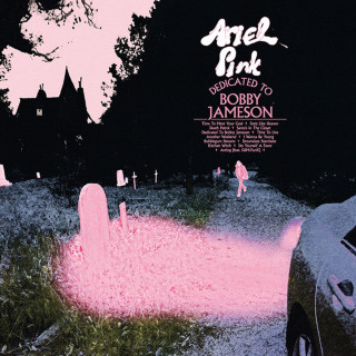 Ariel Pink - Dedicated To Bobby Jameson album cover
