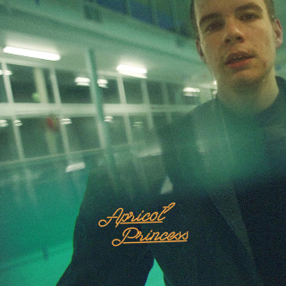 Rex Orange County - Apricot Princess album cover