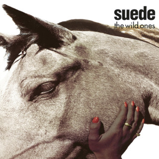 Suede - The Wild Ones single cover