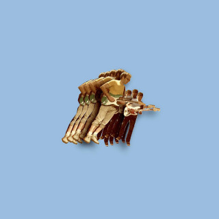 Vulfpeck - Fugue State EP cover