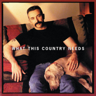 Aaron Tippin - What This Country Needs album cover