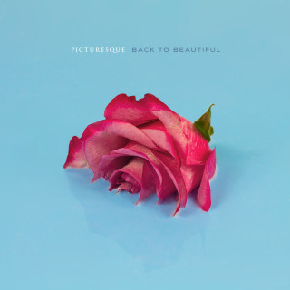 Picturesque - Back To Beautiful album cover