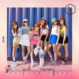 Apink - Pink Memory album cover