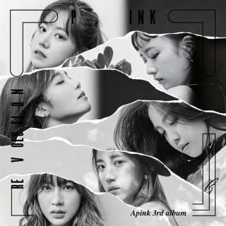 Apink - Pink Revolution album cover