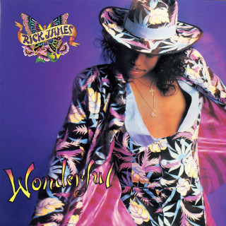 Rick James - Wonderful album cover